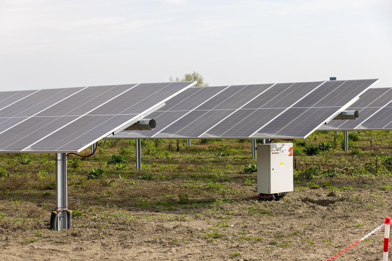 Fotovoltaico, funziona come la fotosintesi clorofilliana