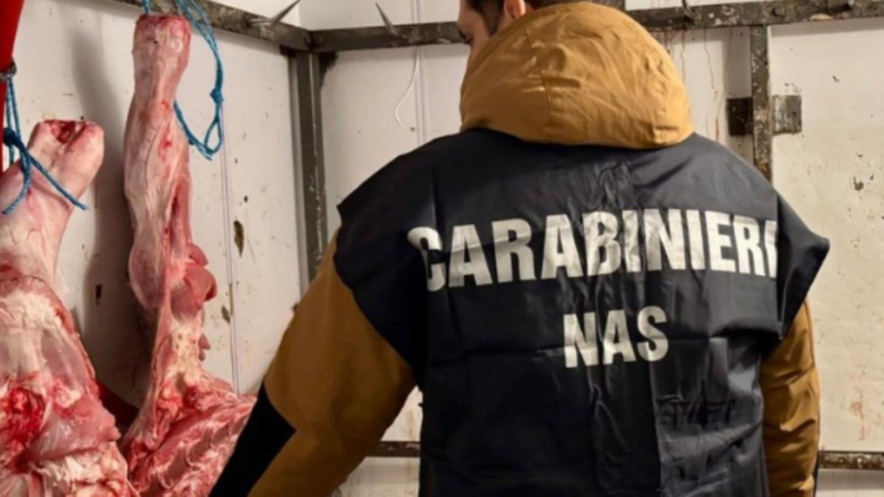 Un'ispezione dei carabinieri del Nas