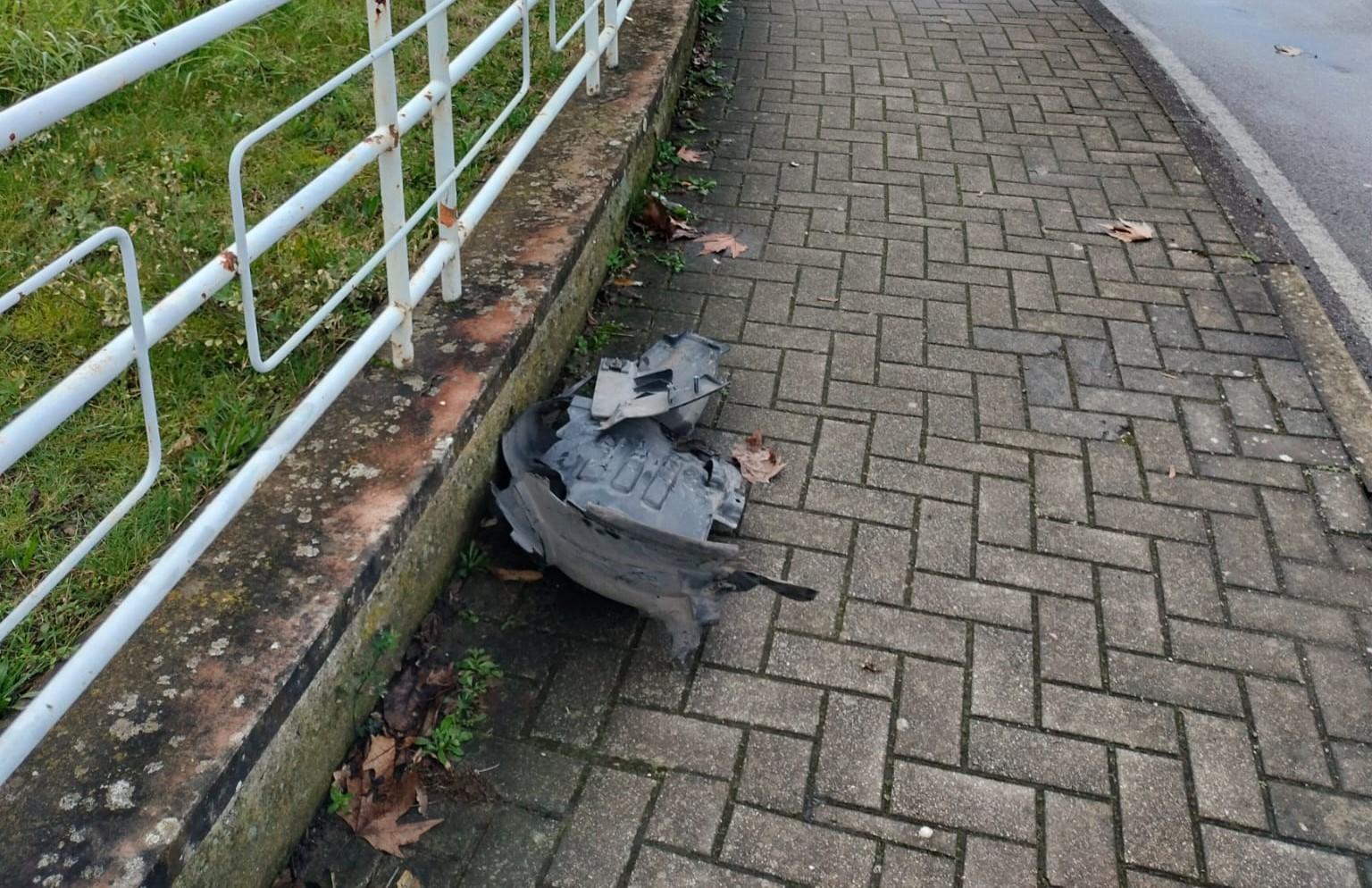 Auto “pirata” investe un cane e lo uccide: padrona colta da malore e portata in ospedale