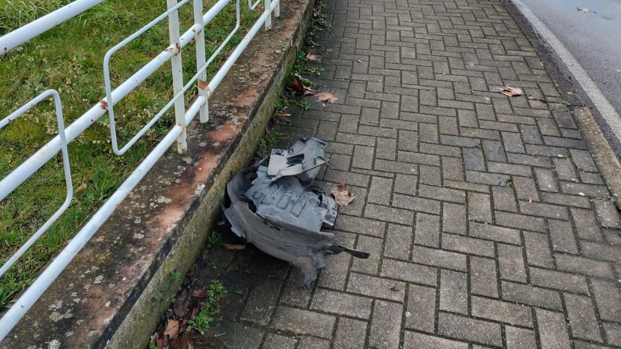 Auto “pirata” investe un cane e lo uccide: padrona colta da malore e portata in ospedale