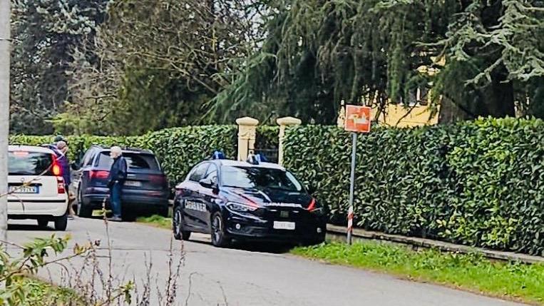 Muore travolto da un ramo durante la potatura