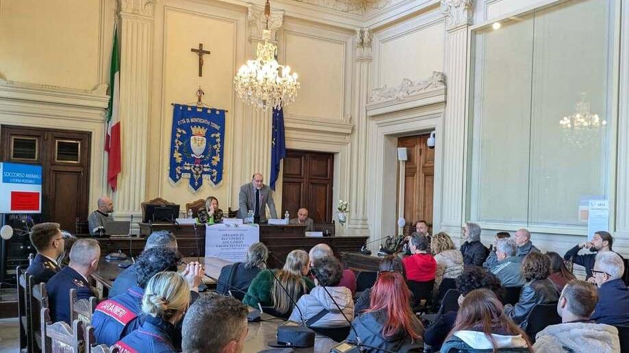 Recupero della fauna selvatica: la nuova attività del rifugio Zara di Montecatini