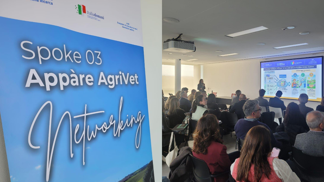 Nasce in Sardegna la prima piattaforma digitale per gli allevatori di ovini: app unica per dati, sanità e produzione