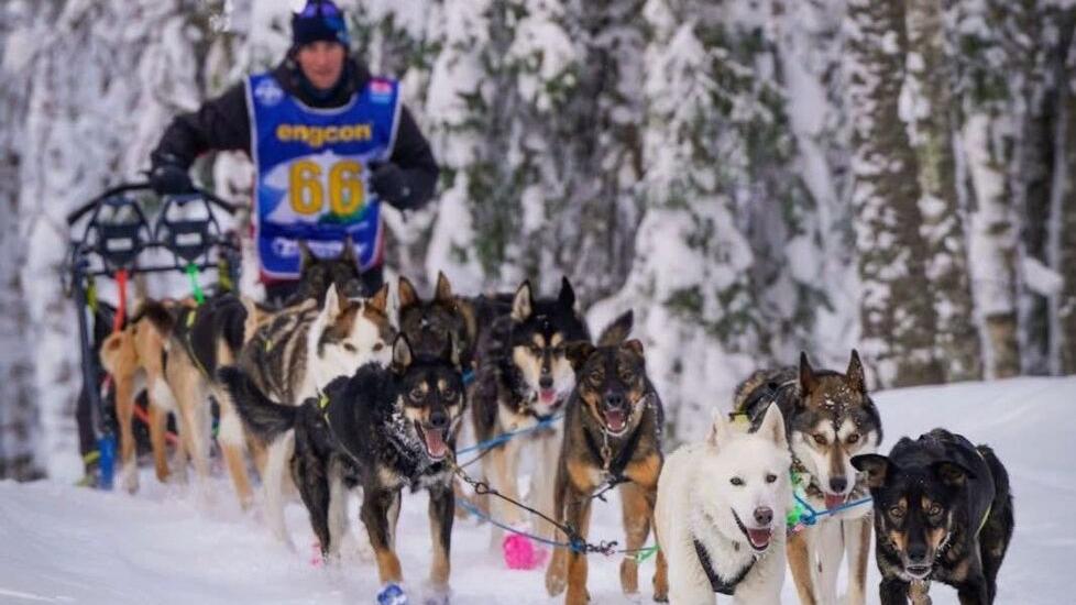Epico Luca: con i suoi husky ha vinto l’Amundsen Race