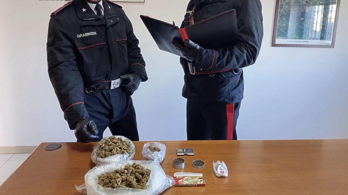 In casa quasi mezzo chilo di marijuana, due denunciati