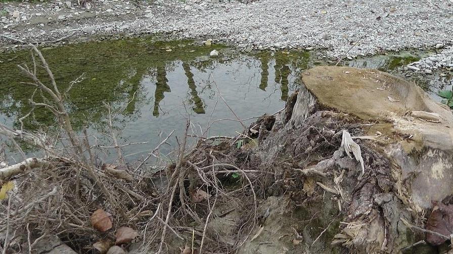 Lavori al torrente Tiepido: detriti, tronchi e pericoli