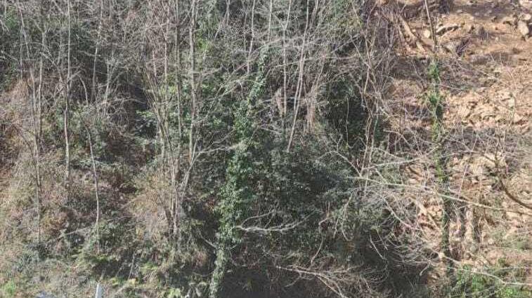 La Nievole-Avaglio resta interrotta: richiesta la calamità naturale