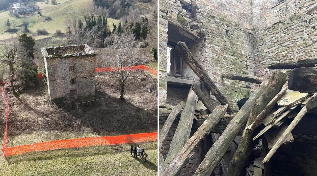 Daniela Ruggi, serve un bando per svuotare la torre di Pignone e cercare altri resti