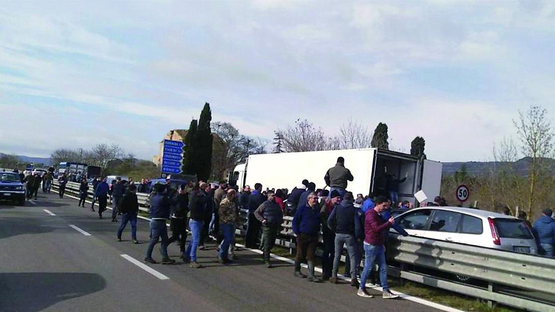 Proteste per il prezzo del latte, sentenza ribaltata per tre allevatori – Chi sono