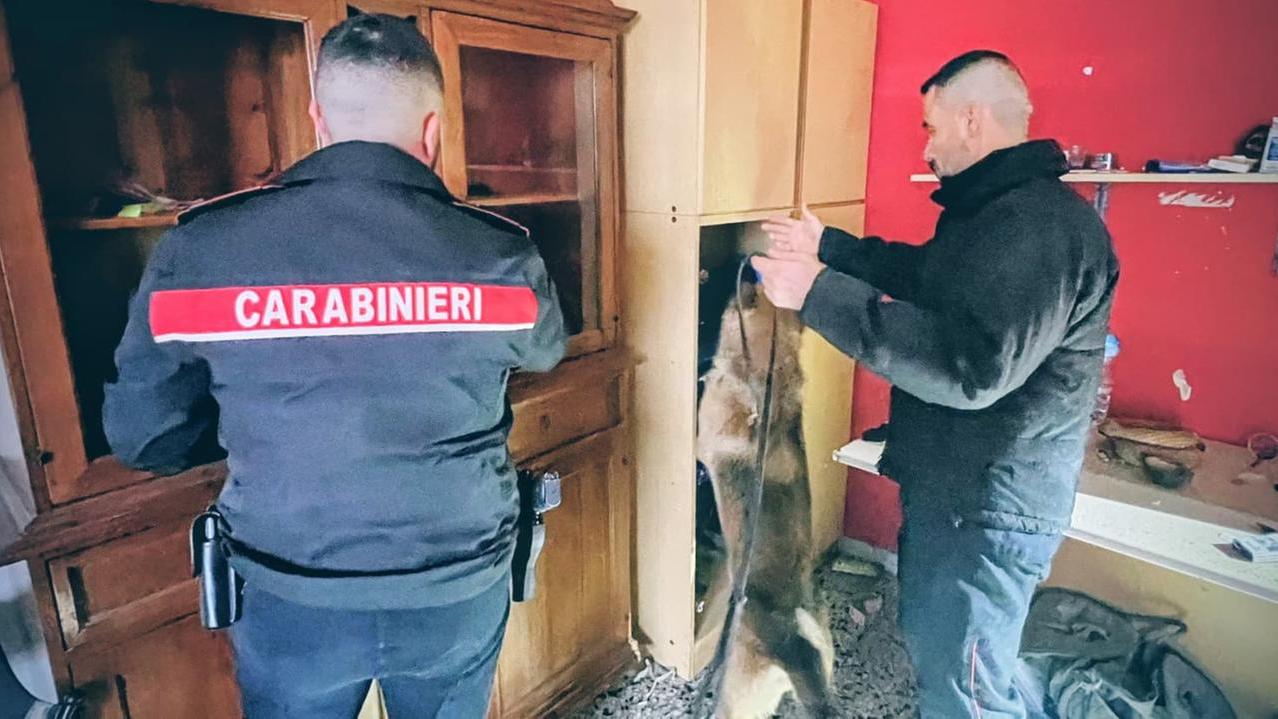All’arrivo dei carabinieri lanciano droga e soldi dalla finestra: arrestati