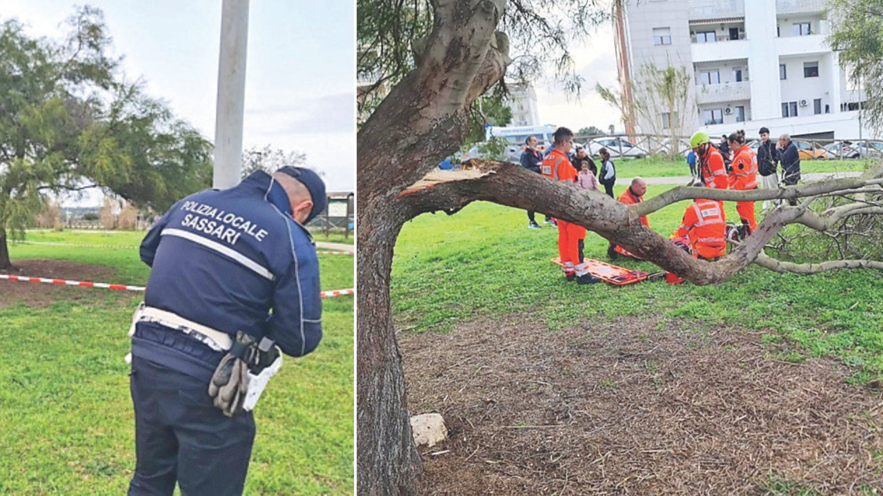 Sassari, cede un ramo e cade dall’albero: ferito un 12enne