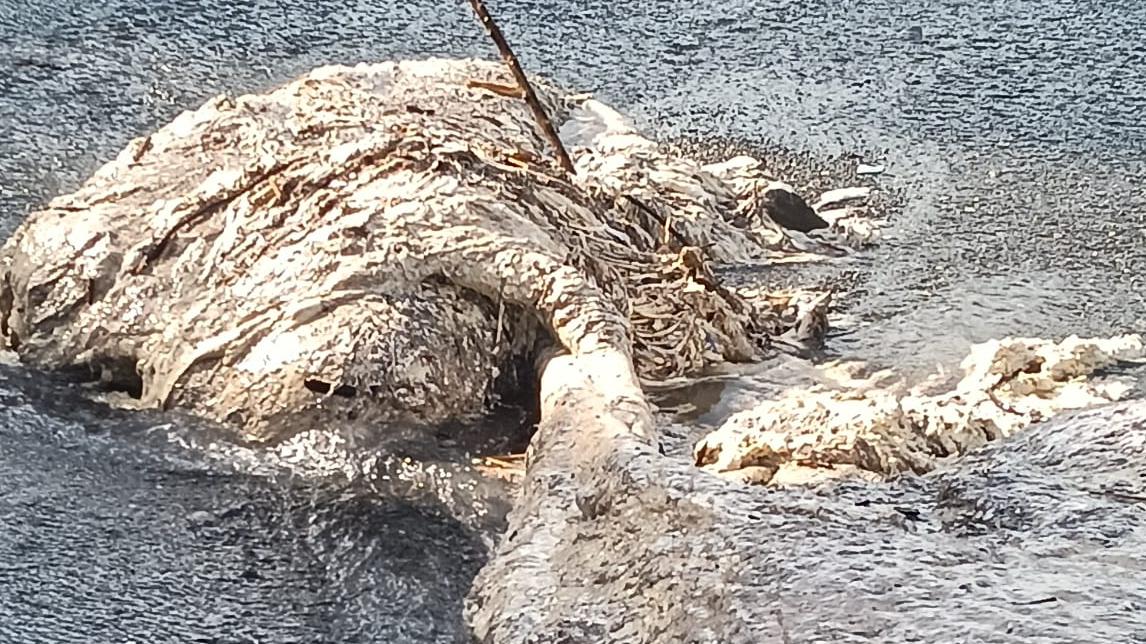 Rimozione del Capodoglio, chiusa la Vecchia Variante: gli orari