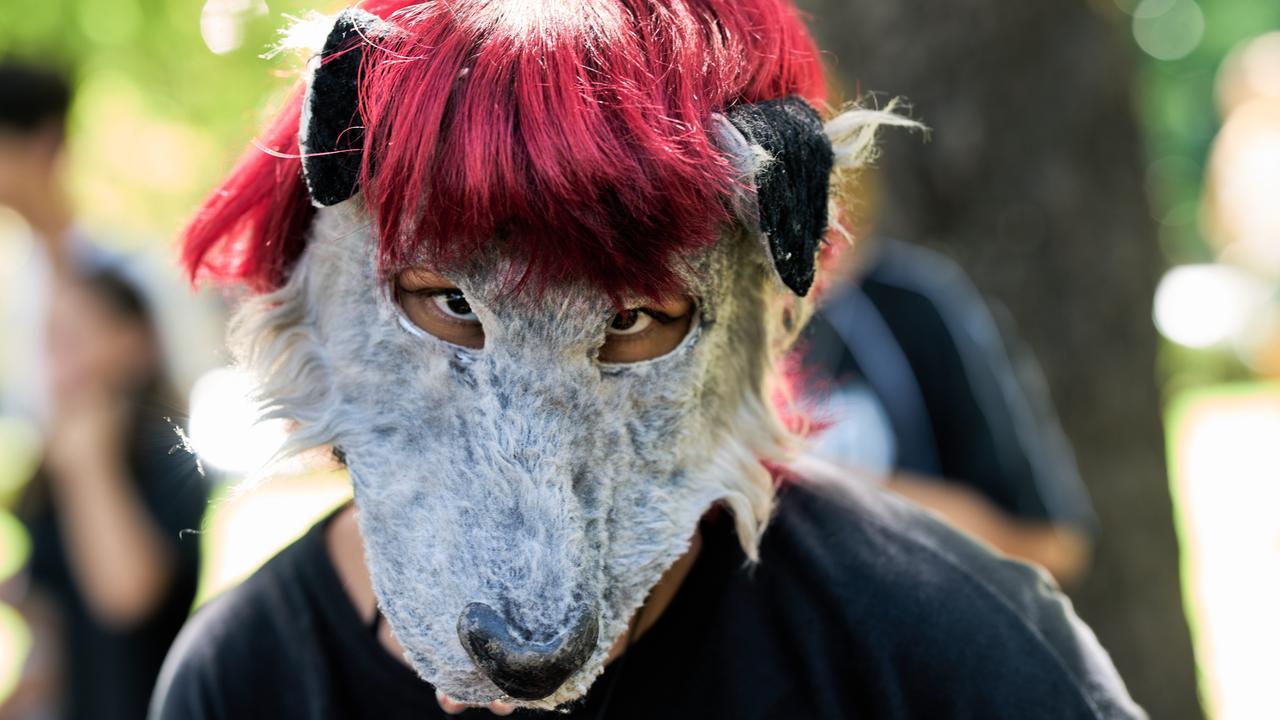 «Stasera mi trasformo in un cane»: l’ultima folle moda nei parchi di mezzo mondo – Ecco come funziona