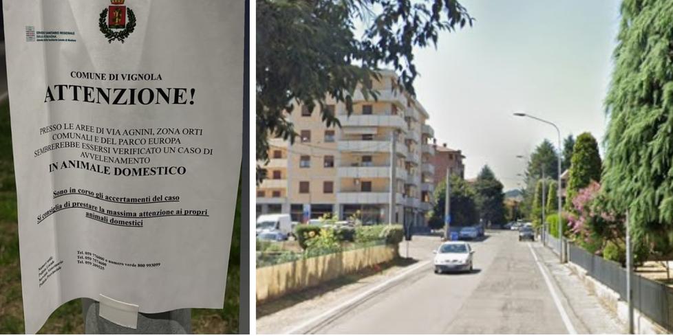 Si teme l’avvelenamento di un cane. Il Comune di Vignola si mobilita per i padroni