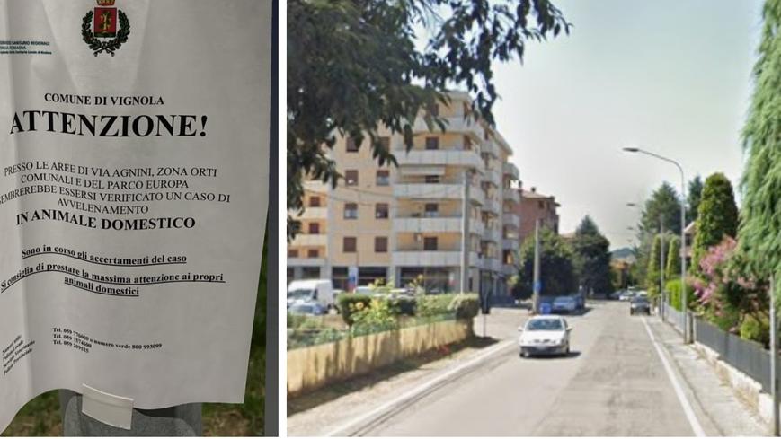Si teme l’avvelenamento di un cane. Il Comune di Vignola si mobilita per i padroni