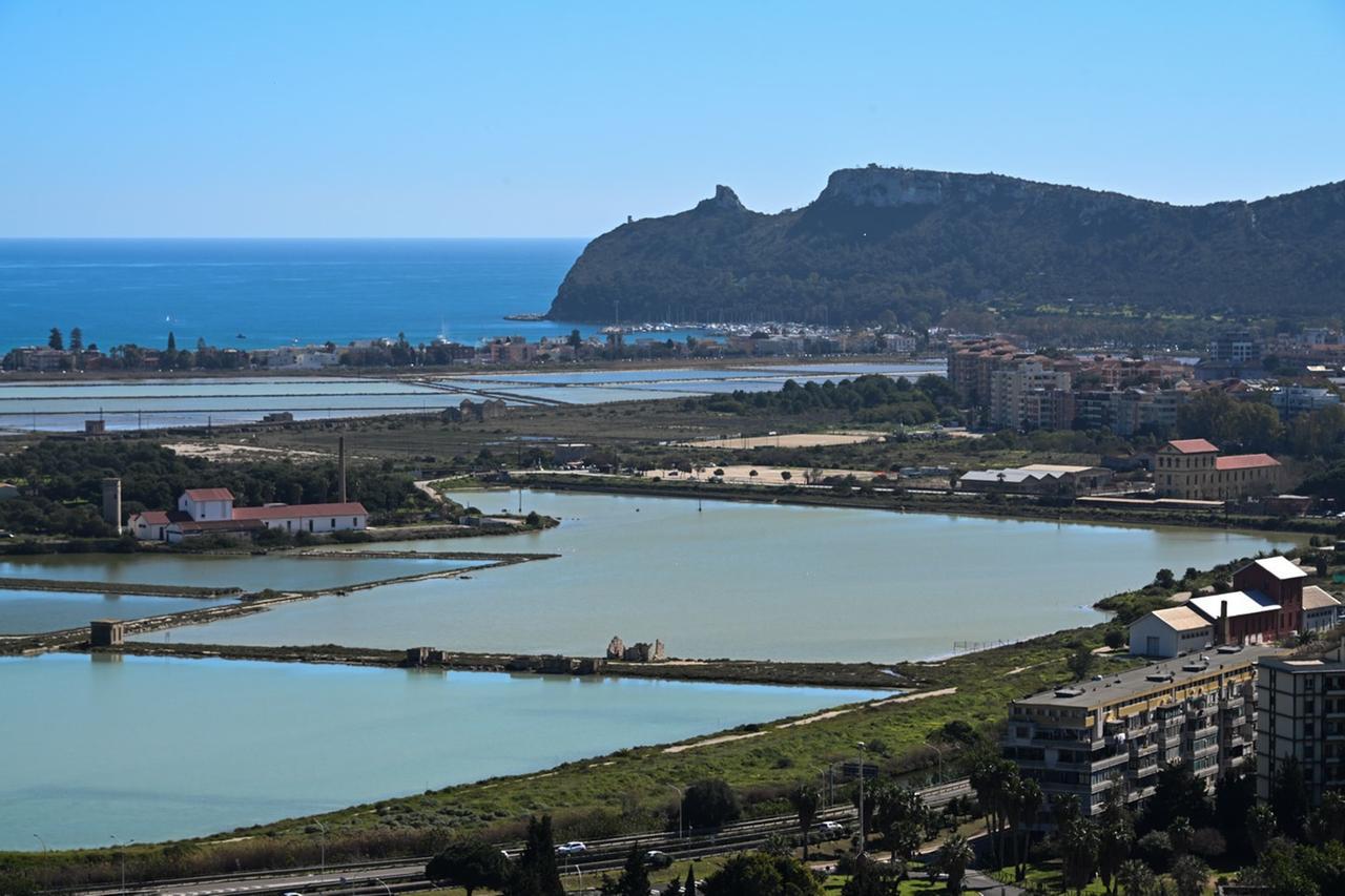 
	Il Parco di Molentargius - saline e della Sella del Diavolo (foto Rosas)

