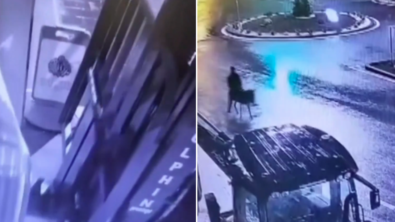 Rapina una gioielleria con un muletto poi scappa cavalcando un asino: arrestato