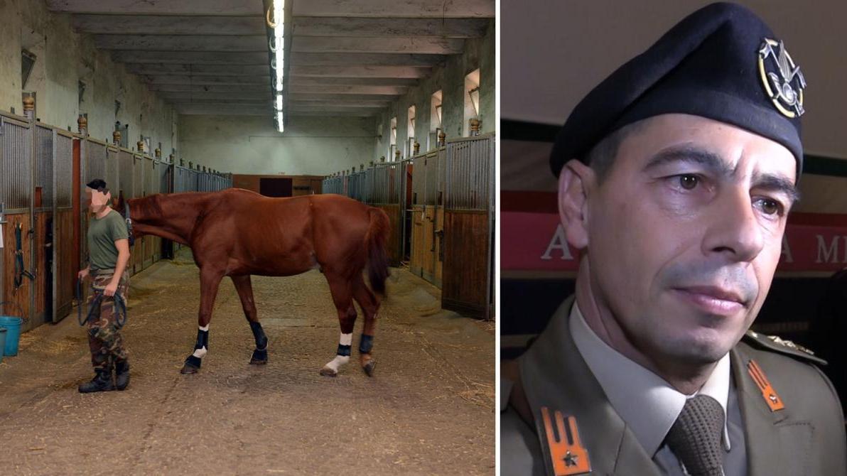 
	Le scuderie dell'Accademia e il colonnello Cati

