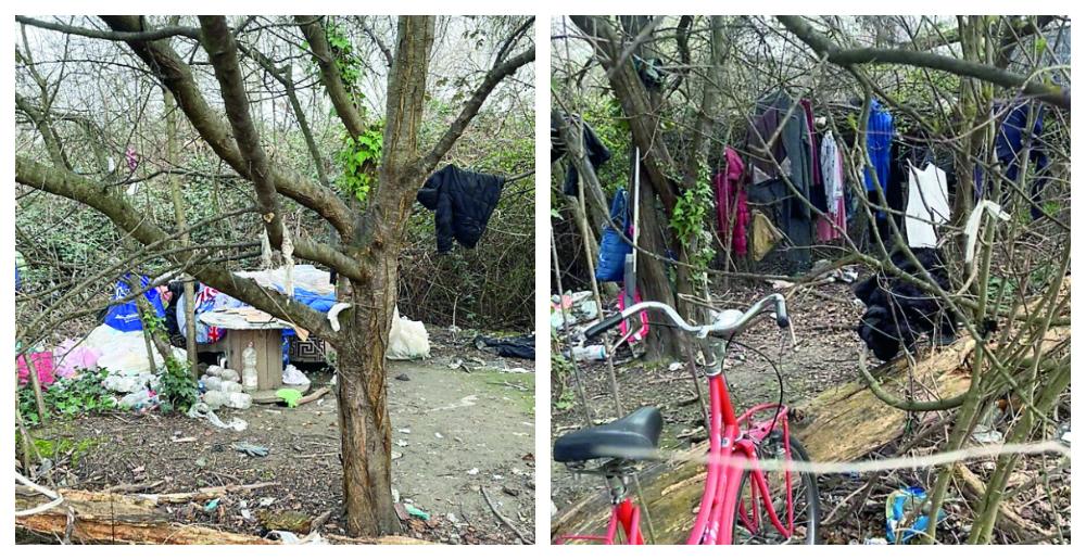 Modena, bivacco al parco Divisione Acqui: una donna vive nella boscaglia