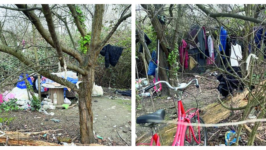 Modena, bivacco al parco Divisione Acqui: una donna vive nella boscaglia