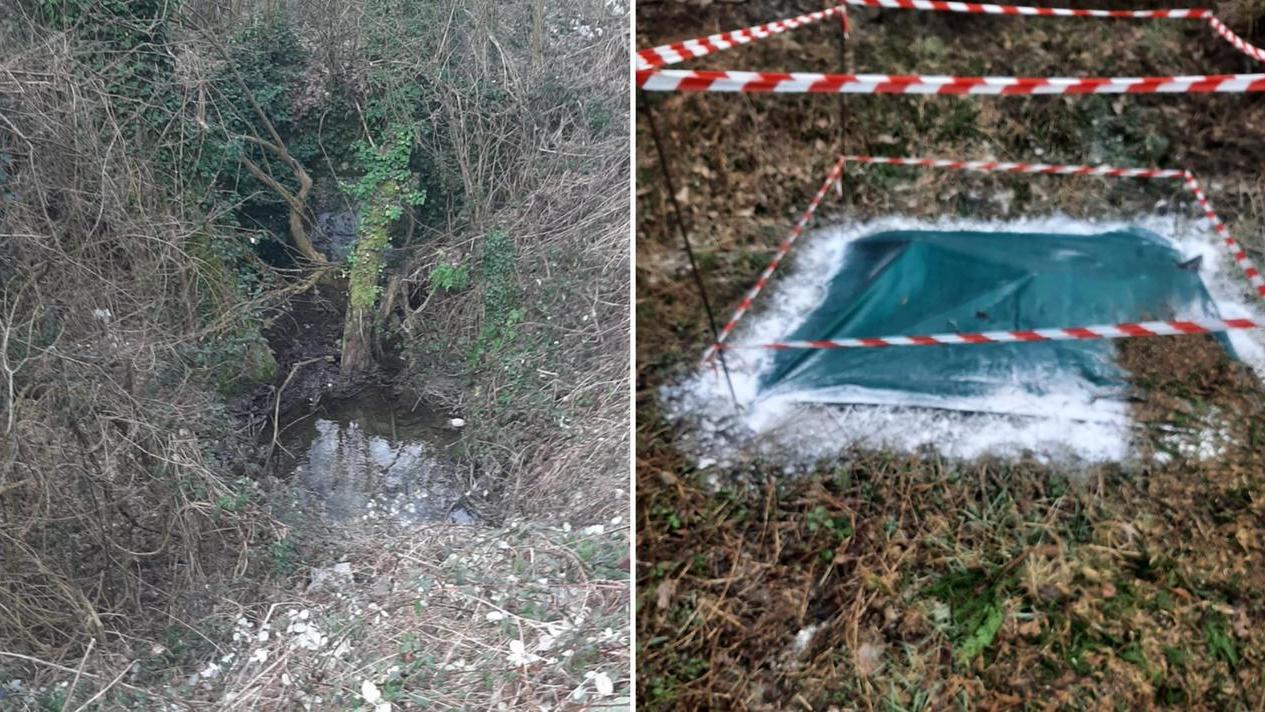 L'area in cui sono state trovate le carcasse