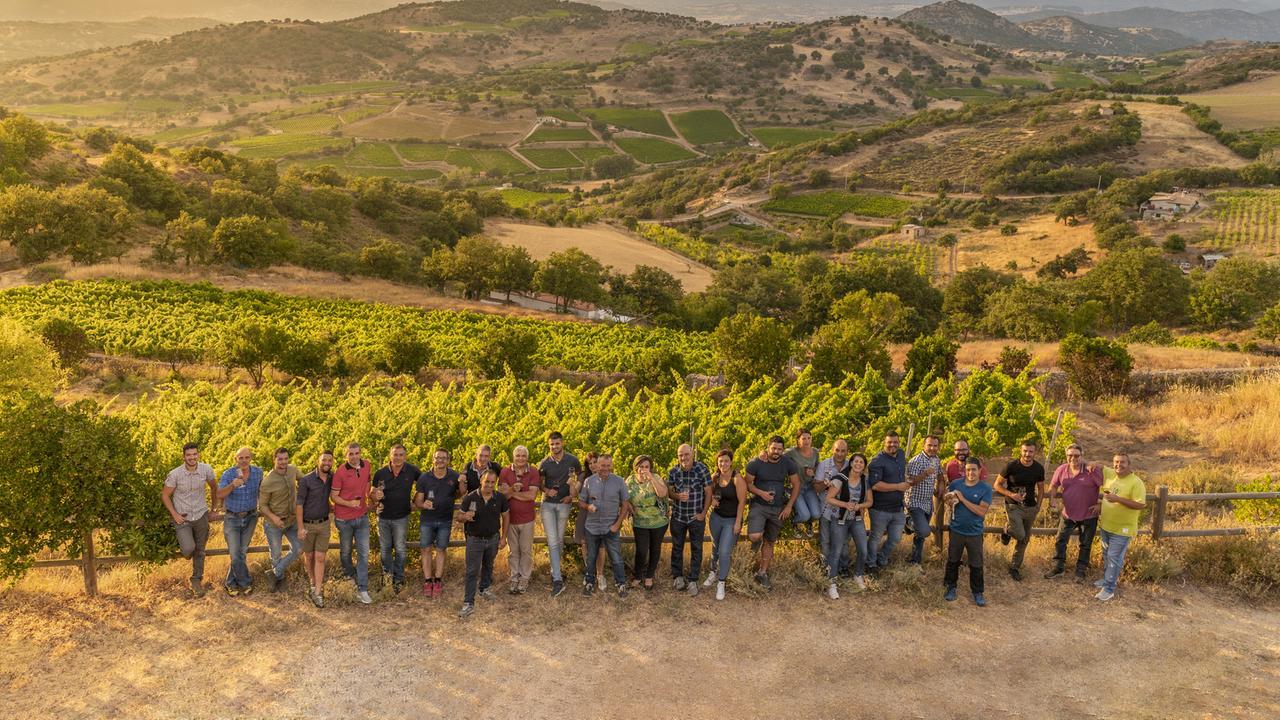 «Sardi artigiani delle vigne più antiche» – Per la guida Slow wine l’isola è una terra vivace e in crescita