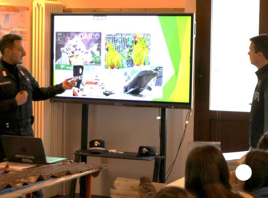 Ferrara, il 2025 dei carabinieri forestali: scoperti centinaia di illeciti