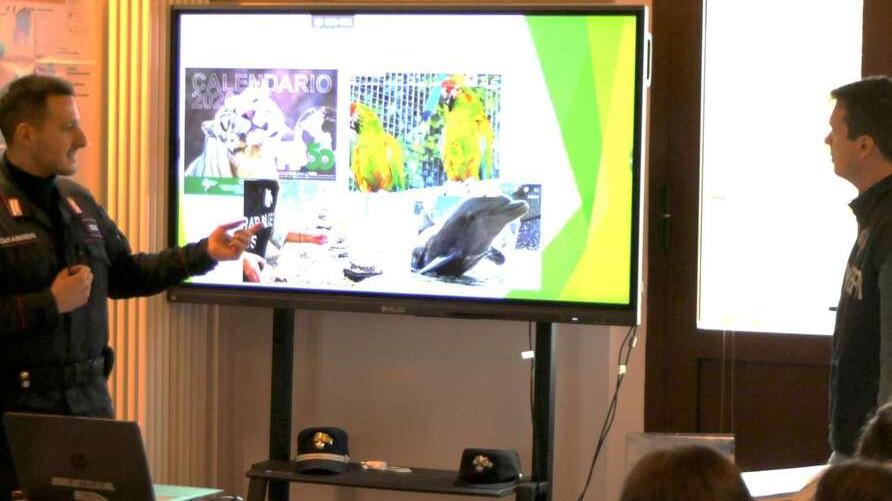 Ferrara, il 2025 dei carabinieri forestali: scoperti centinaia di illeciti