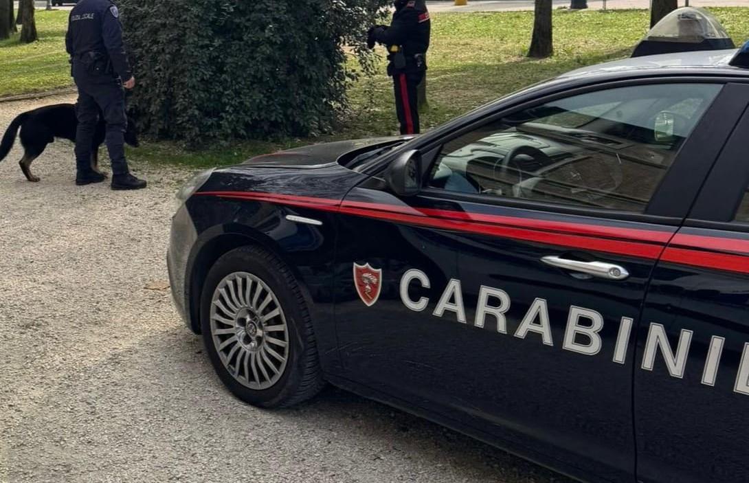 Nonantola, ruba da Tigotà e morde l’addetto alla vigilanza: arrestata una 31enne