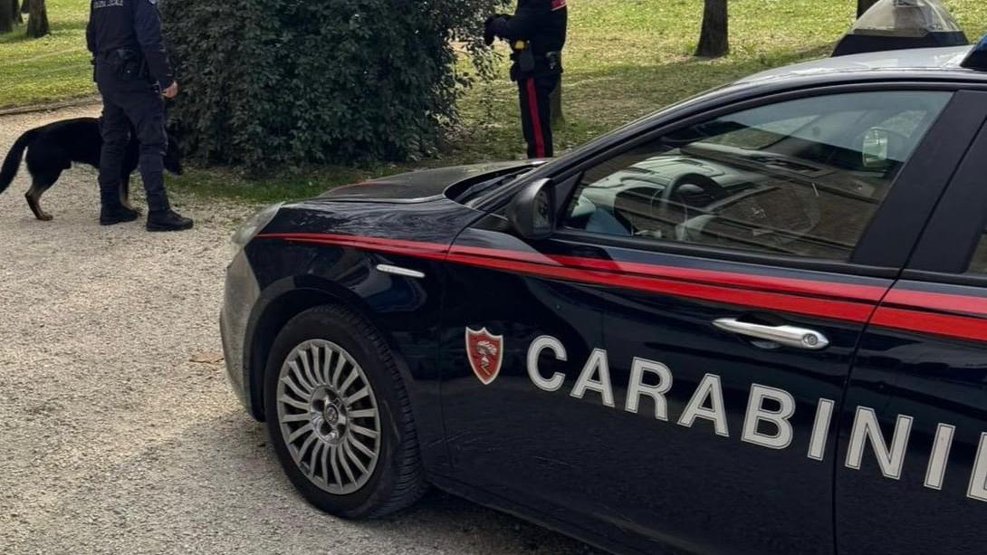 Nonantola, ruba da Tigotà e morde l’addetto alla vigilanza: arrestata una 31enne