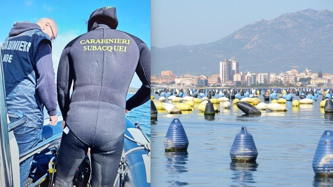 Olbia, il Noe setaccia gli allevamenti di cozze: sommozzatori a caccia di microplastiche