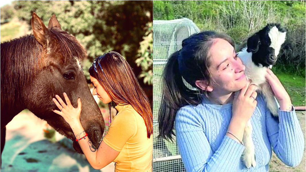 Caprette, conigli e pecore abbandonate: ecco il ranch sardo sostenuto dai vip