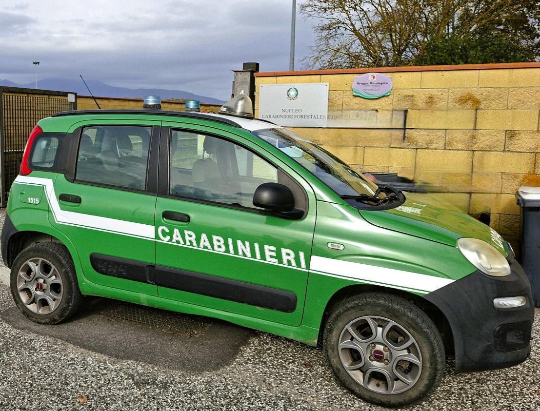 
	Una pattuglia dei forestali (foto d'archivio)

