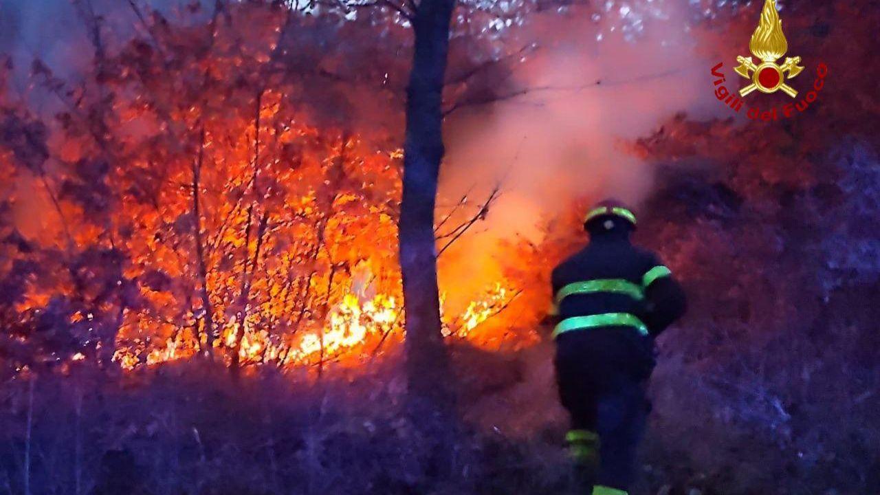 Arezzo, incendio nel bosco: le fiamme minacciano case e un’azienda agricola