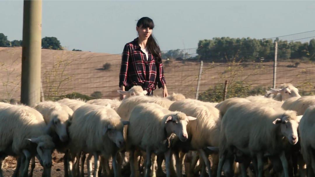 Ingegnera e pastora per scelta. Mariafrancesca Serra si racconta: «Donna e scienziata, ho stravolto la vecchia mentalità agropastorale»