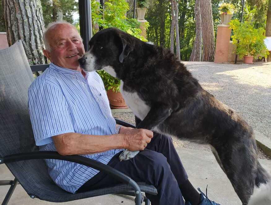 Targa, Juventus, trattoria ed edilizia: addio a Enzo, uomo dalle mille attività<br type="_moz" />
