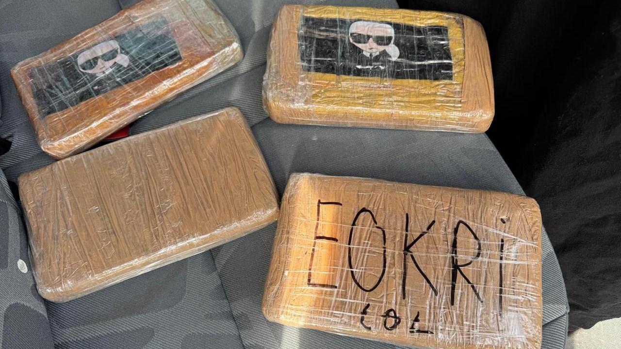 La cocaina sequestrata dalla guardia di finanza