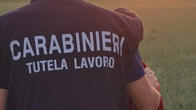 Sassari, sgominata una rete che favoriva l’immigrazione clandestina: 29 indagati