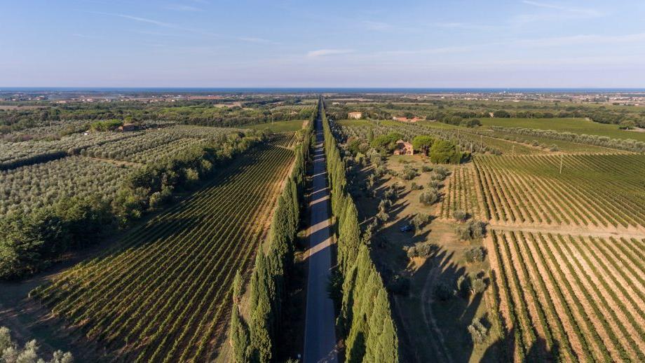 Una veduta dell'area