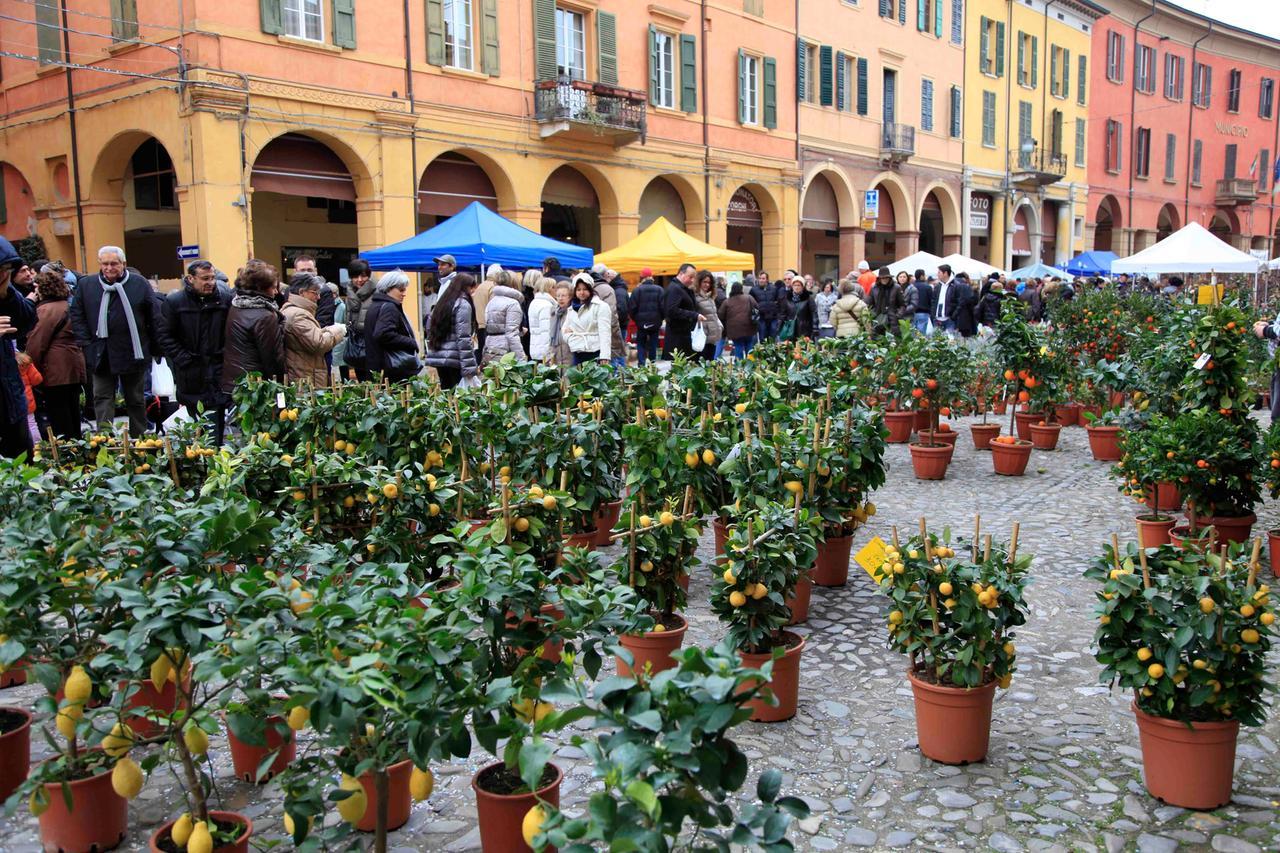 Correggio in fiore per la Fiera di San Giuseppe