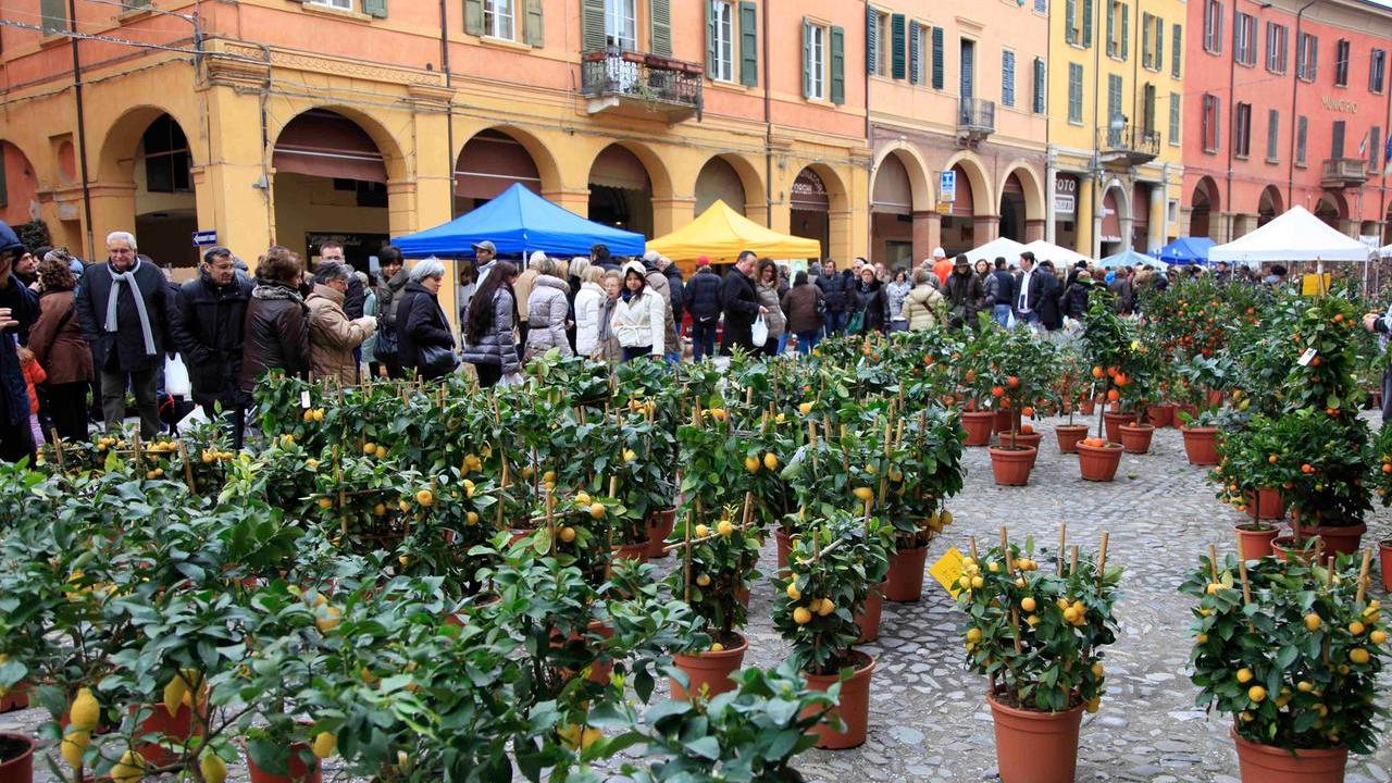 Correggio in fiore per la Fiera di San Giuseppe