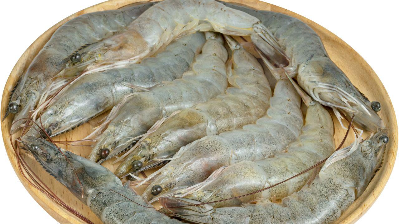 
	Pesce ritirato dal mercato (Foto di repertorio)

