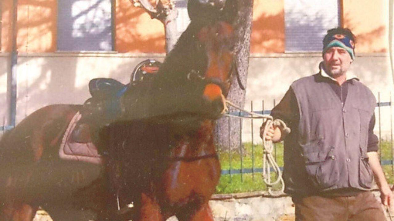 
	Dario Francini e la sua passione per i cavalli

