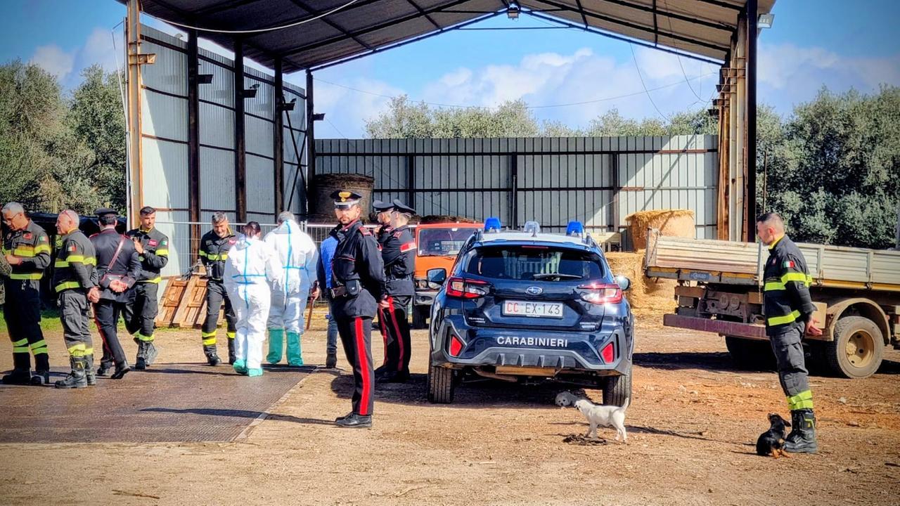 Maxi ispezione in un’azienda di legnami: denunciato un imprenditore