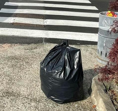 Lucca, sanzione annullata per i rifiuti abbandonati: ecco perché