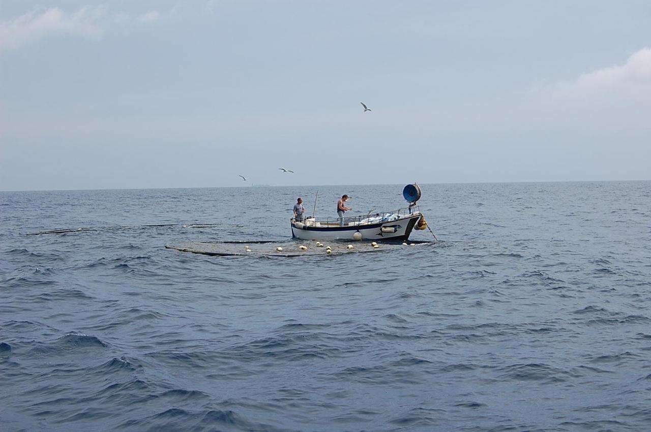 Comacchio, divieto di pesca sportiva e ricreativa nei canali tra il mare e le Valli