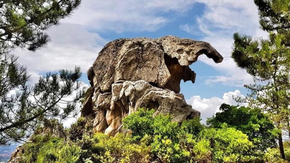 Monte Pino, paradiso naturale da scoprire e tutelare: «Diventerà una zona protetta»