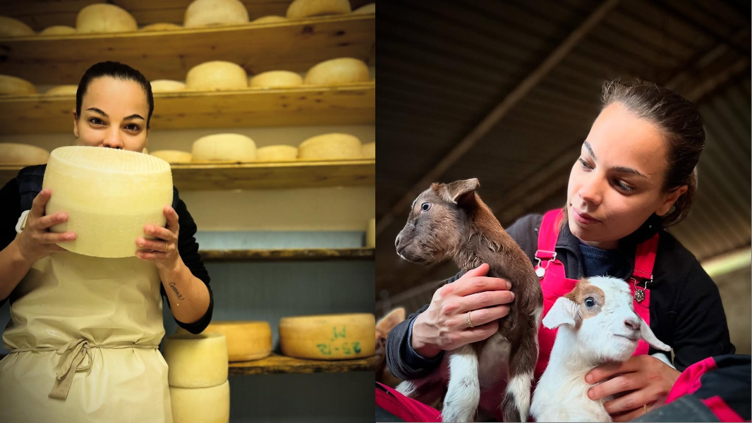 Capre al pascolo su terreni vista mare, l’agri-influencer Beatrice Foddis: «Racconto la pastorizia sui social»