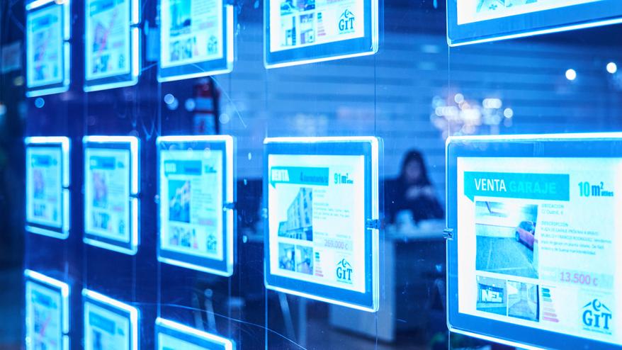 Giungla affitti a Modena. Stanze a 900 euro al mese