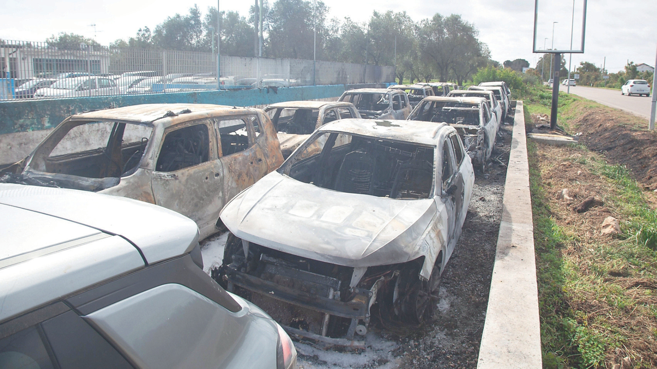 
	<em>(foto Roberto Gabrielli)</em>

